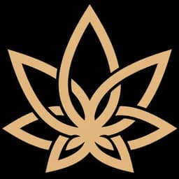 3Chi